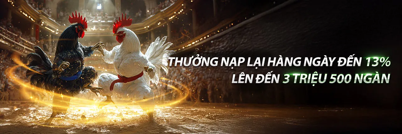 Đá gà trực tuyến kịch tính tại 188bey login 2026